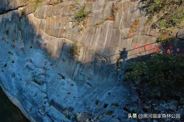 夏末秋初送清凉，来自黑河国家森林公园的惊喜等你查收~