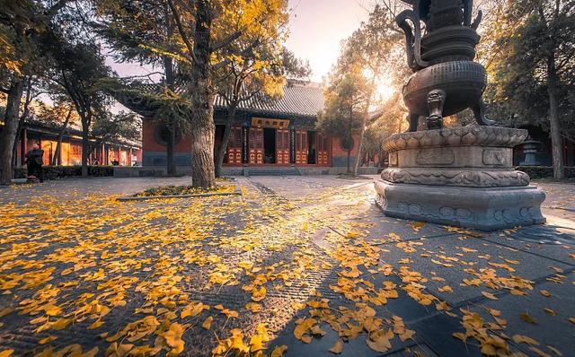 洛阳白马寺走红，是洛阳最古寺庙，号称中国第一古刹，免费