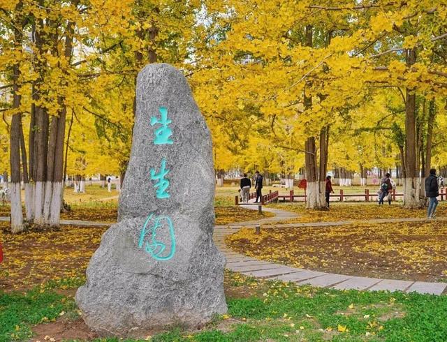 临沂秋日免费打卡全攻略 | 这10个宝藏地遛娃拍照绝了！