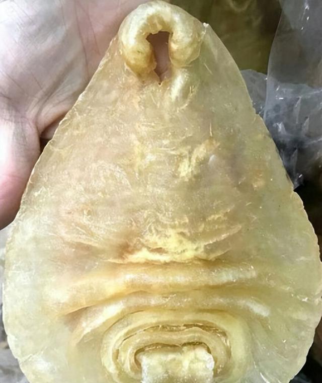 梦港花胶造假 2026年花胶有造假的吗