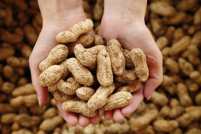 11月6日花生价格新出炉！主产区涨跌分化 ，买卖双方必看指南