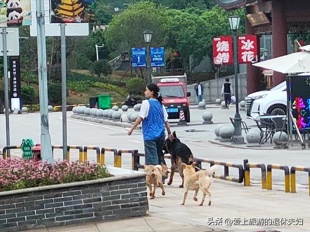 出游第7站-岳阳：因去的不是时候,愉悦与失落参半,岳阳楼值得登吗