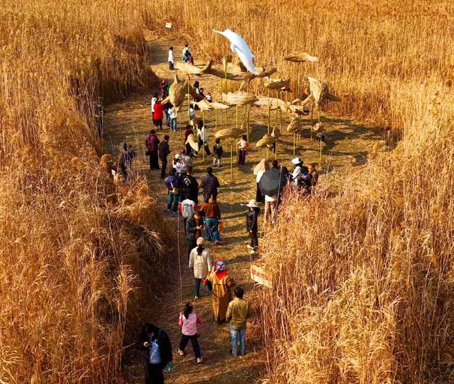 岳阳人的朋友圈刷爆了！免费开放至明年1月···