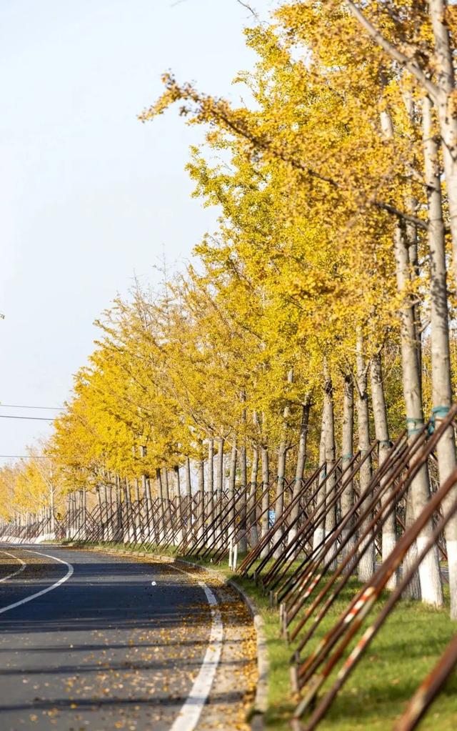 这样的张家港,我“All in”了!