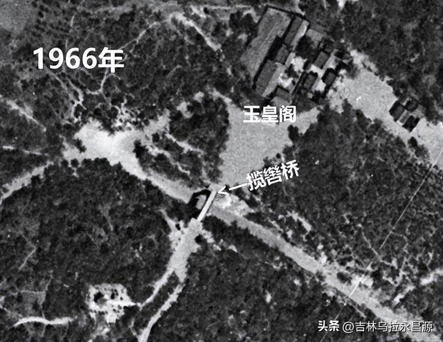 见过吗？吉林市北山公园罗锅桥下曾有一棵“挡道”的大树