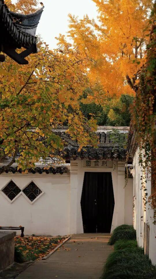 藏不住了~如皋这里随手一拍就是壁纸