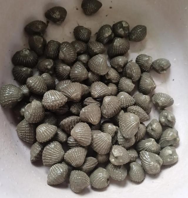 菠菜和花胶可以同吃吗 2025年菠菜可以和花胶一起吃吗 菠菜和花胶可以同吃吗 2025年菠菜可以和花胶一起吃吗