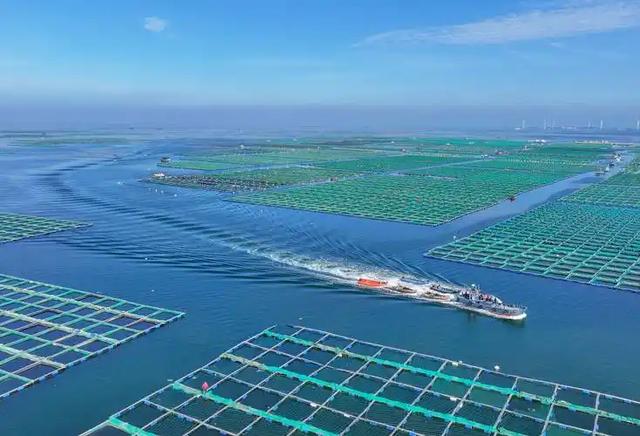 大国重器！沙海粮仓之后再现海上粮仓，15万吨级国字号重器成关键