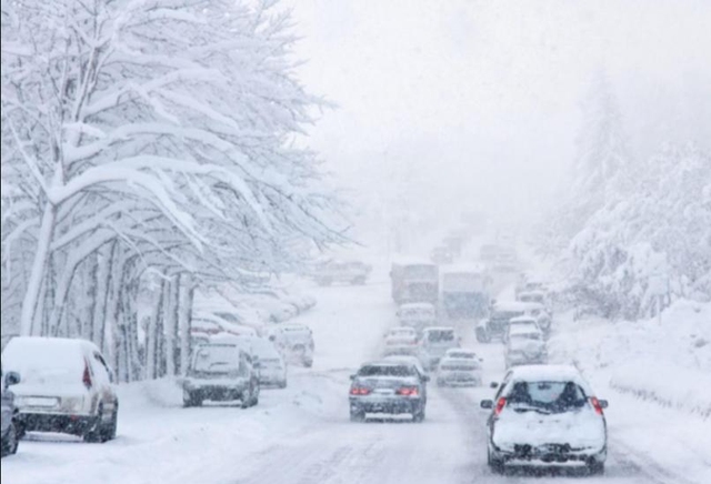 立冬将至，“白天立冬冻死牛，晚上立冬暖烘烘”，今年立冬在哪？