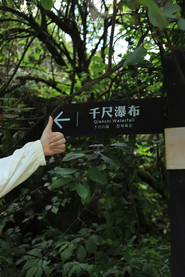 周末就冲！成都出发1.5H飙拢25℃峡谷瀑布森林吸氧！
