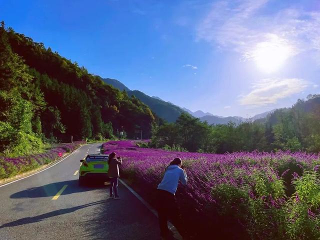 来广元月坝，解锁一场“多巴胺”初冬