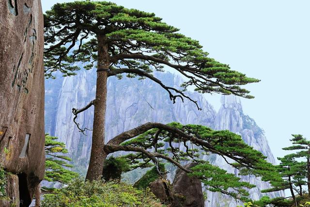 安徽虽小，但是却拥有这8大名山！