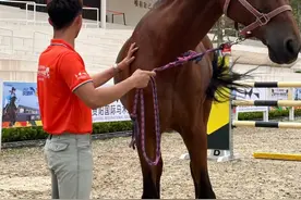 中产家庭vs小康家庭，二者的分水岭是什么？图片