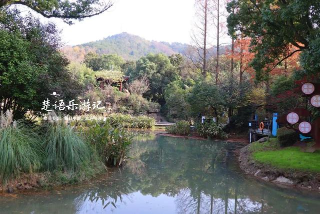 浙江绍兴这片风景真的太美了，五彩枫树犹如天然油画，拍照太出片