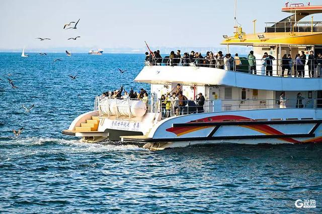 秋日青岛的浪漫，藏在“橘子海”的日落里