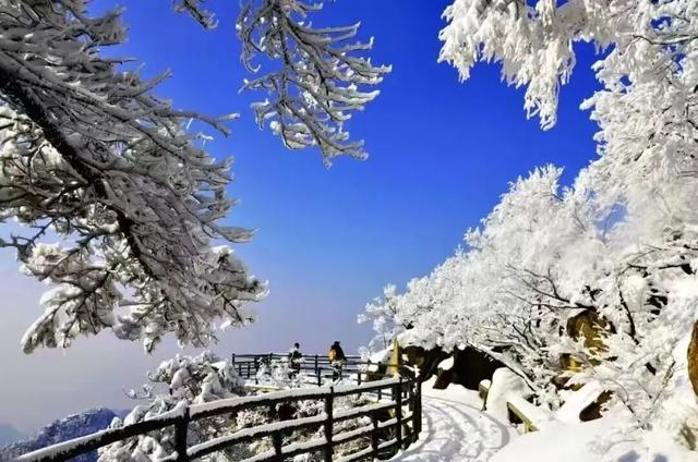 小雪至，来临沂 | 这个冬天不必远行，来临沂领略冬日景区独特魅力