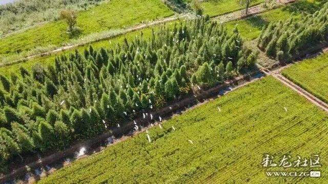 昆明冬日顶流回归！约起！