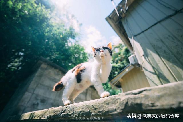 索尼/尼康用户有福了！腾龙16-30mm F2.8体验 轻量风光视频必备