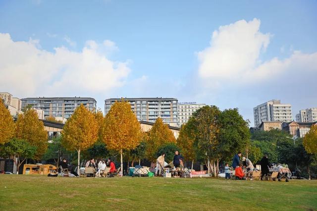 轨道直达！重庆“顶流”梧桐大道已经美到next level了！