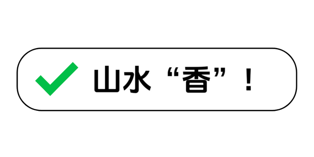 又有明星推荐洛阳！快，一起感受千年古都的“活色生香”
