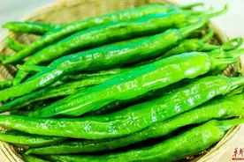 全球最贵！3公斤就能买一辆奥迪A8的辣椒，到底长啥样？图片