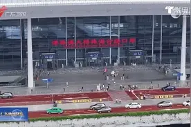 广东车牌有望开到香港！计划今年内推出图片