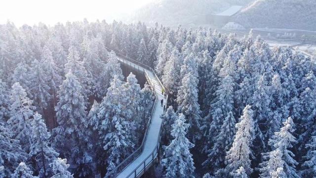 【雄奇山水 冬韵武隆】冰雪奇缘·南国雪国童话