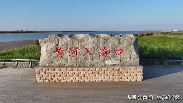 【黄河口生态旅游区】今日入伏 出游温馨提示