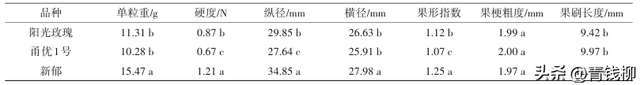 陕西渭南地区甬优1号与新郁葡萄引种适应性评价