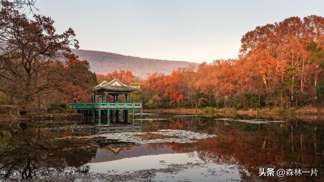 两性关系：女人多大岁数就不想男人了，过来人告诉你实情