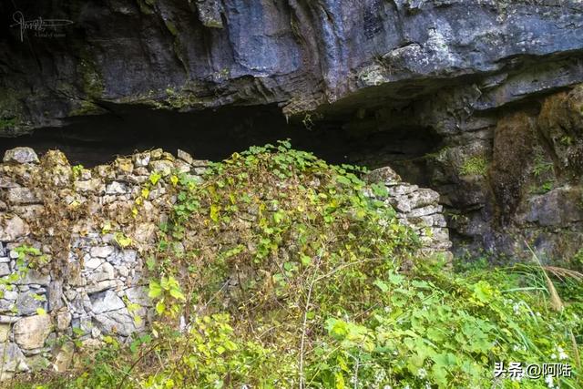 在湘西靠近贵州的大山深处有个天然溶洞，冬暖夏凉却“无用途”