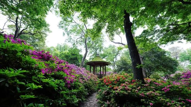 无锡这座绝美花园，免费开放了