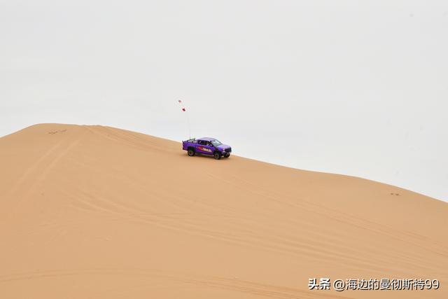 海边游记｜沙海狂飙与绿洲寻踪：内蒙古腾格里沙漠一日“历险记”