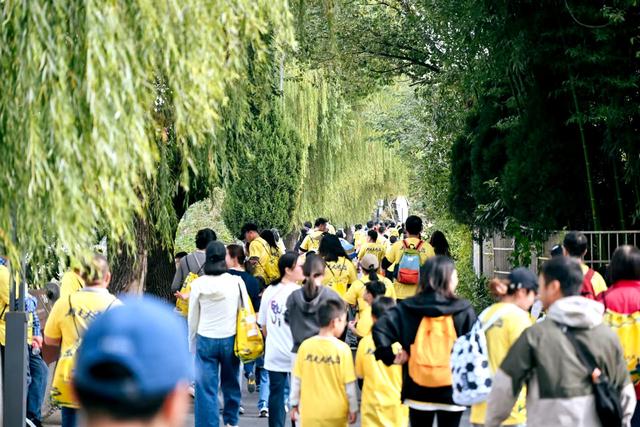 从崇贤到塘栖，3000人用脚步解锁大运河文化！