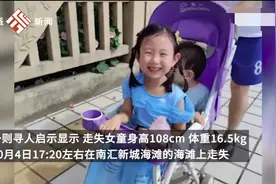 上海4岁女童海滩走失父亲发声：取东西花了12分钟，没想到孩子不见了图片