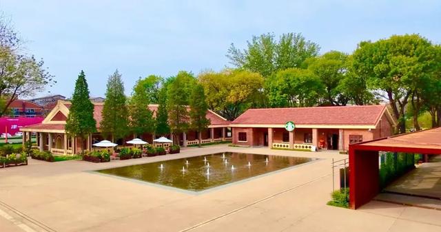 聚焦 | 丝带耀海河！绘就发展新画卷！