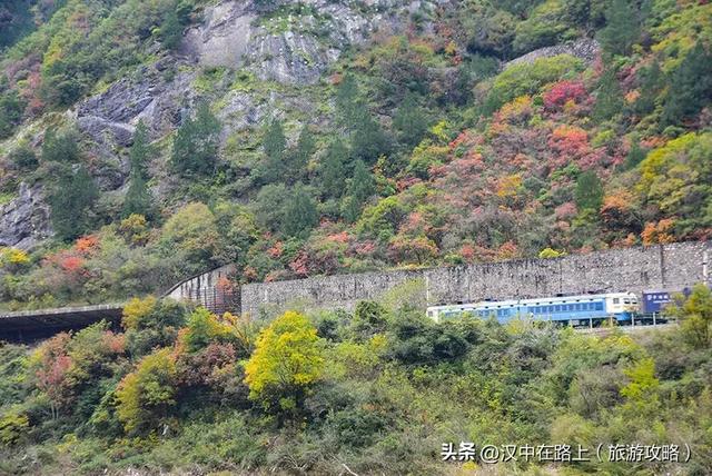 汉中出发沿嘉陵江跨省自驾，把秦巴深秋的美景装进车窗～图片