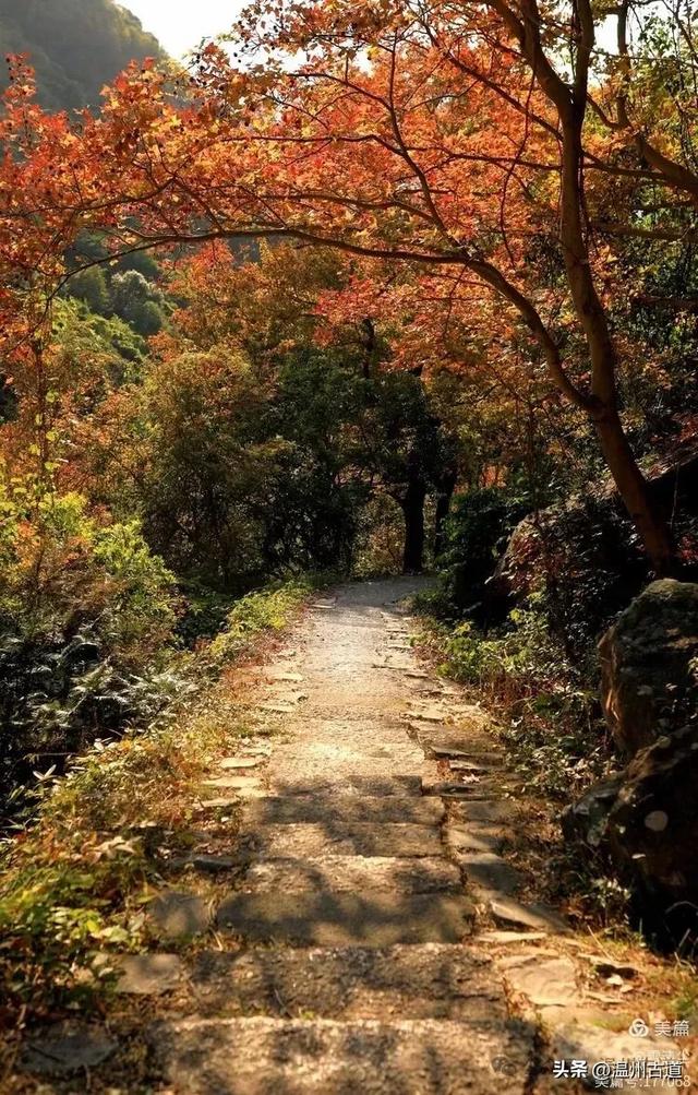 现场报道:这条离市区很近的著名红枫古道已枫情万种,徒步正当时
