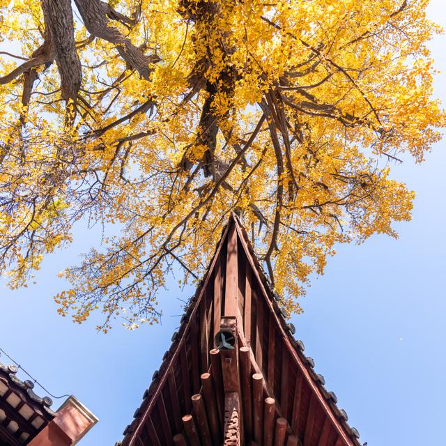 常州的秋，醉了