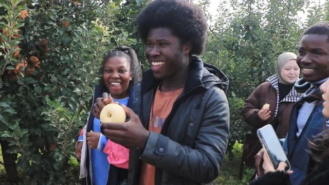 外国友人到滨海开启沉浸式文化体验之旅