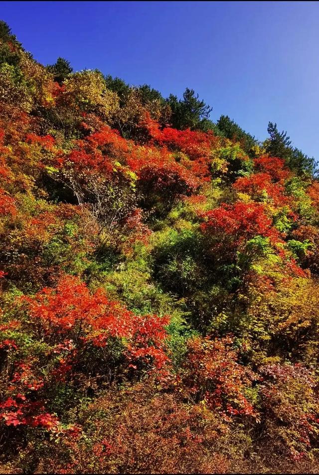 9-10月，去这些地方遇见最美的秋色