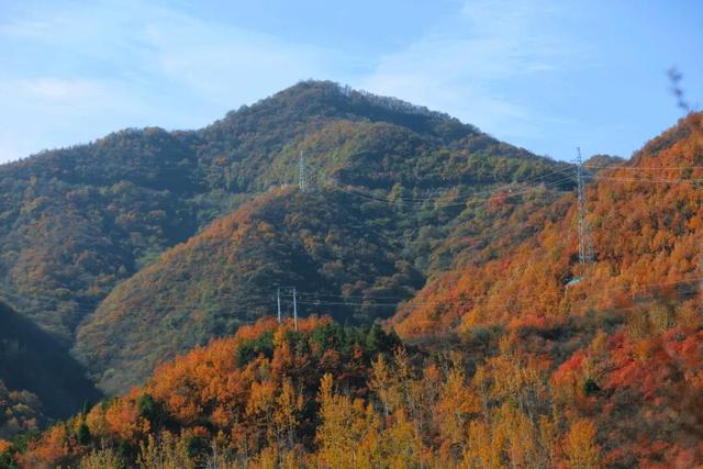 渑池坡头红叶拍摄记：一场迟来的秋日邂逅