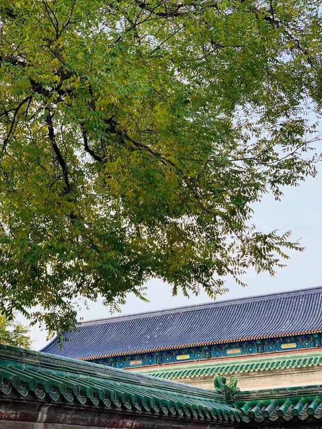 当一位普通北京市民爱上逛公园