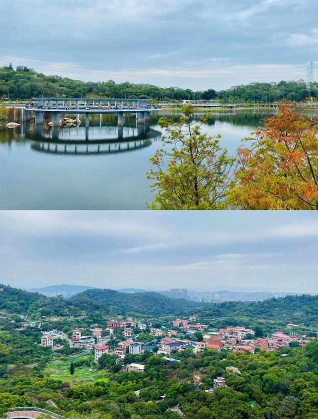 厦门东山社，城市中的宁静之地，厦门版世外桃源，藏于岛内深山中
