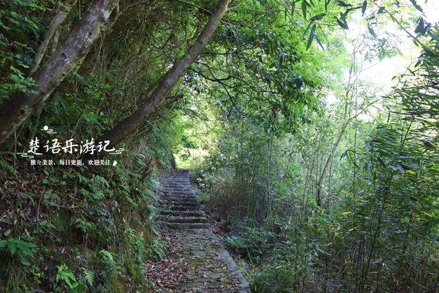 浙江绍兴发现一个森林公园，3条古道犹如绿野仙踪，成为徒步胜地