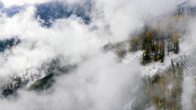 云雾缭绕 喀纳斯驼颈湾