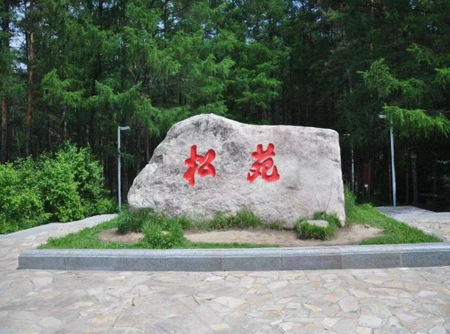找北追光 来漠河享清凉