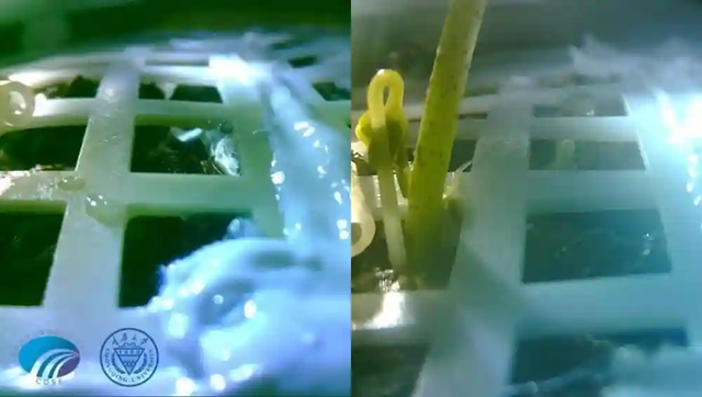 除了地球，哪个行星最有可能存在生命？