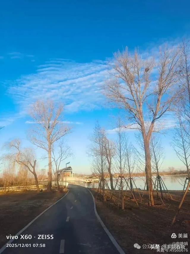 初冬北京朝阳坝河金盏淀:清寒里的静美画卷|申艳娟
