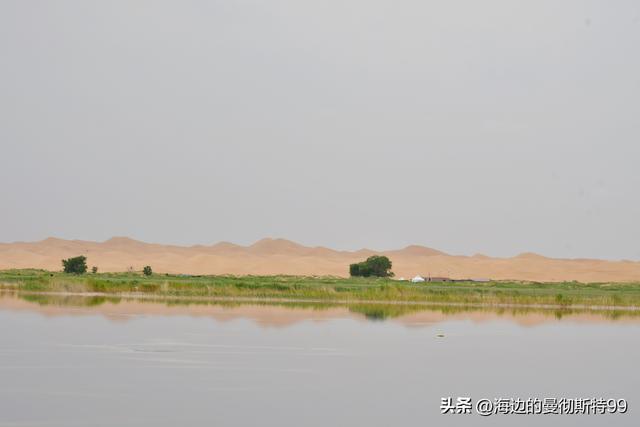 海边游记｜沙海狂飙与绿洲寻踪：内蒙古腾格里沙漠一日“历险记”